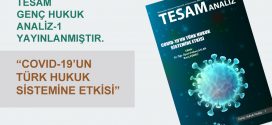 TESAM GENÇ HUKUK ANALİZ_COVID-19’UN TÜRK HUKUK SİSTEMİNE ETKİSİ