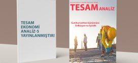 TESAM Ekonomi Analiz- 5 Cumhuriyetten Günümüze Enflasyon ve İşsizlik