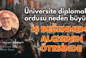Üniversite Mezunlarının Artan Sayısı: İş Beğenmeme Algısının Ötesinde Yapısal Uyum Sorunu