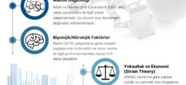 TESAM İnfografik: Suçun Temel Dinamikleri